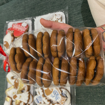 paldove-medovnky-plnen-slivkovm-lekvrom-1
